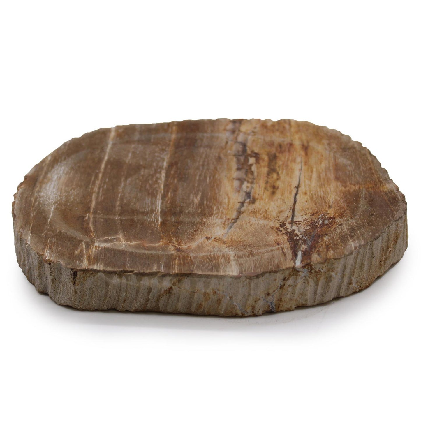 Jabonera De Madera Petrificada Marron
